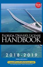 drivers license guide online 2019